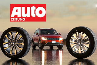 Тест летних шин Auto Zeitung 2020 в размере 225/50R17