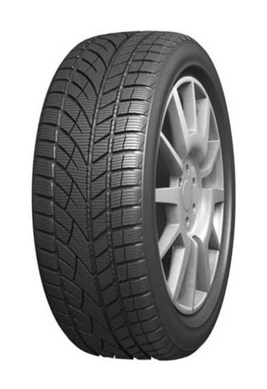 Купить шины ROADX WU01