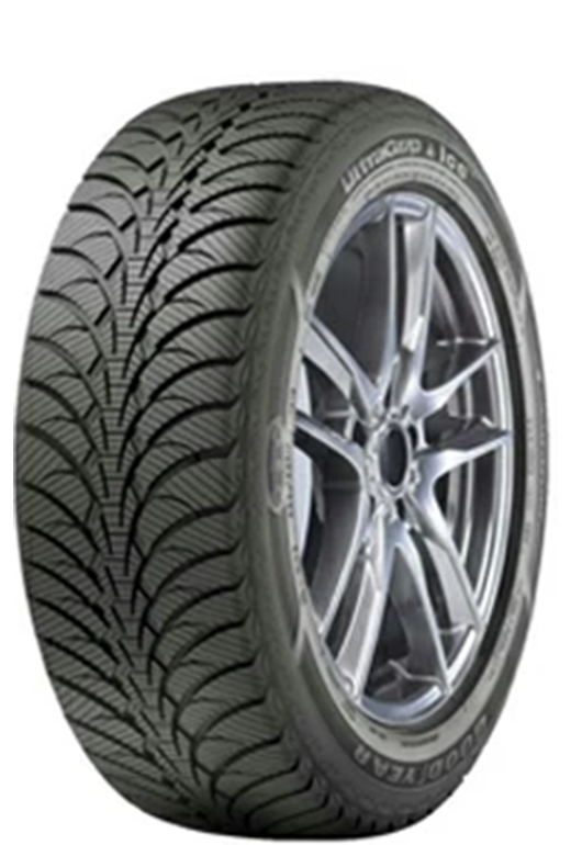 Ultragrip ice +