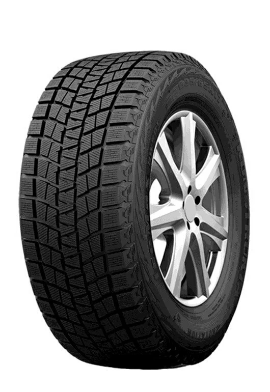 Купить шины HABILEAD RW501 IceMax
