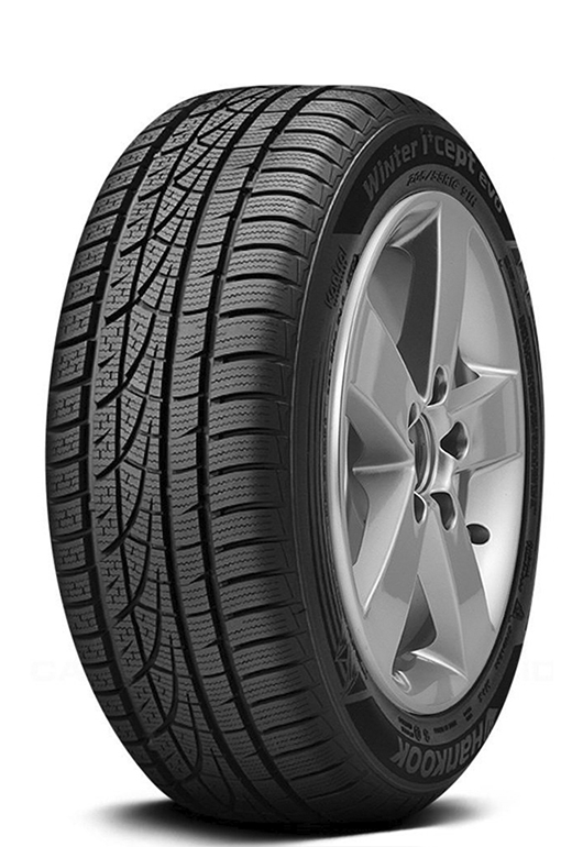Winter icept evo w310b