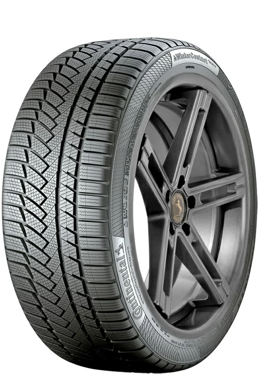 Contiwintcont ts 850p suv