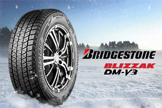 Bridgestone Blizzak DM-V3